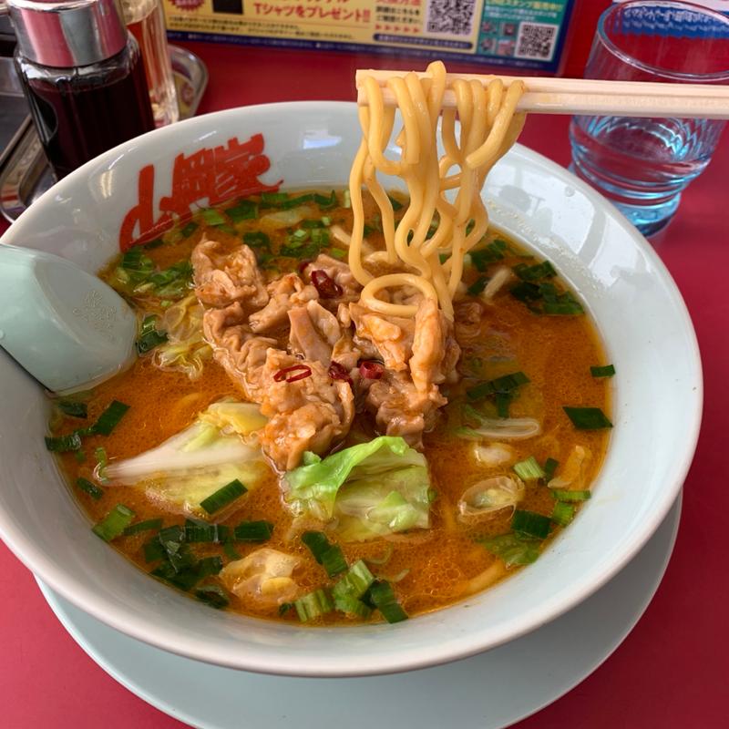モツ味噌ラーメン(ラーメン山岡家 伊達店)