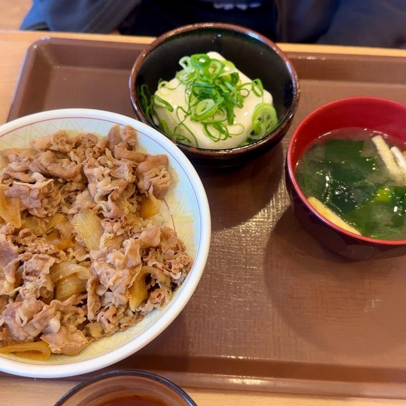 牛丼(中盛)冷やっこセット(すき家 船橋日大前店 )