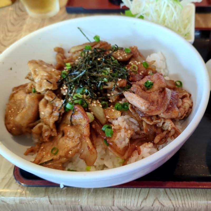 焼肉丼(味の店　こだま食堂 )