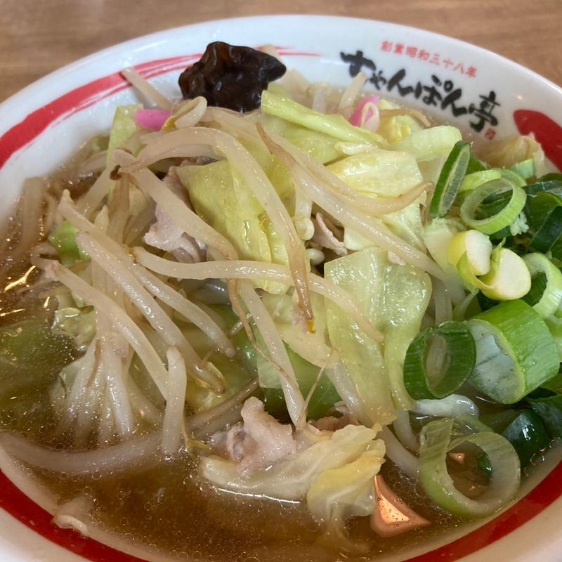 近江ちゃんぽん野菜中(ちゃんぽん亭総本家 高知店 )