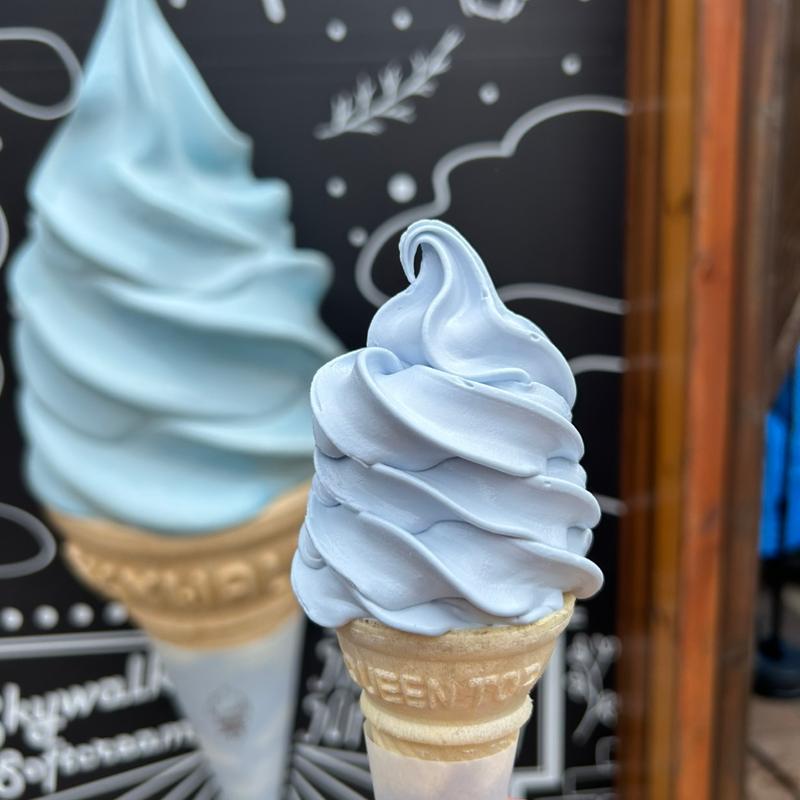 そらソフト(三島スカイウォーク)