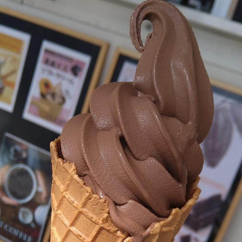 チョコレートソフトクリーム(道の駅 尾瀬かたしな)