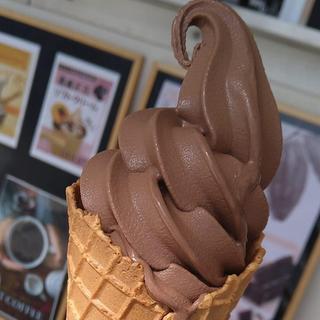 チョコレートソフトクリーム(道の駅 尾瀬かたしな)