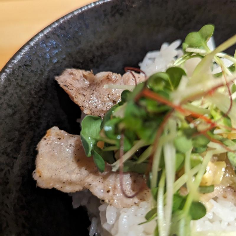 日替わり丼(らあめん轍)