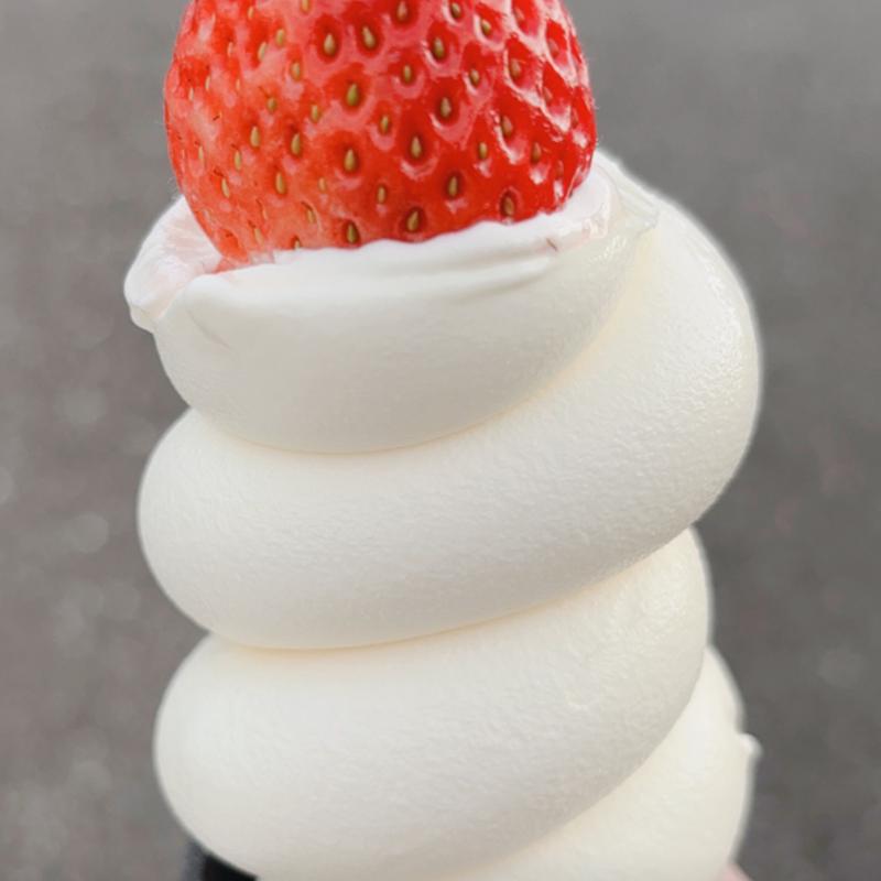 (チーズスイーツ工房 WITH CHEESE つくば店)