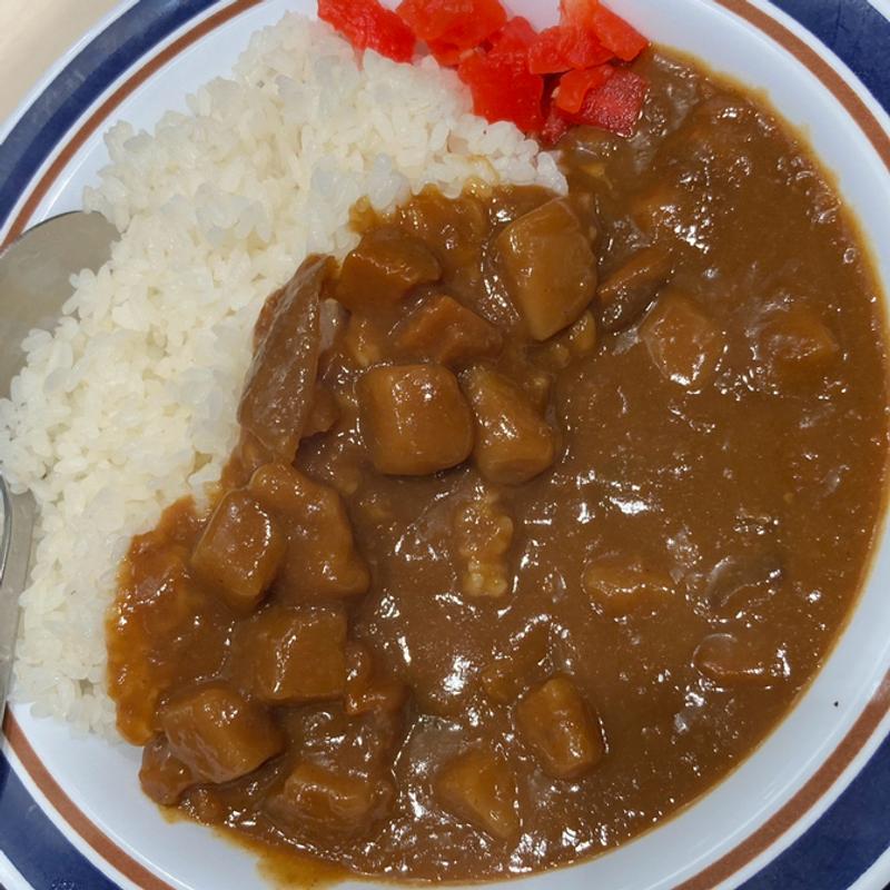 カレーライス(名代 富士そば 稲田堤店)