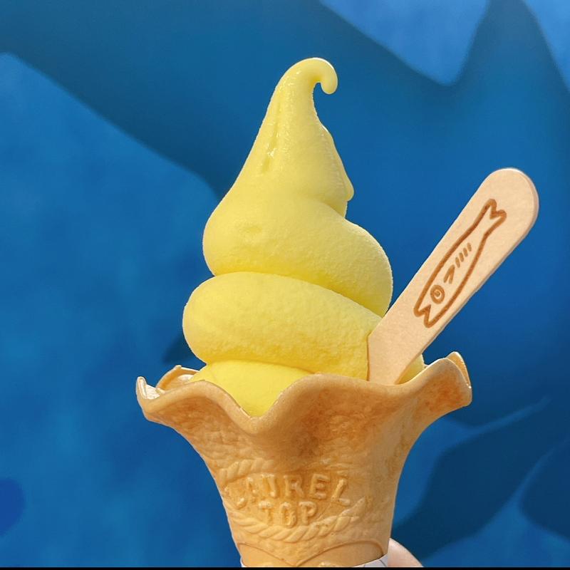 レモンソフト(小田原漁港プリン)