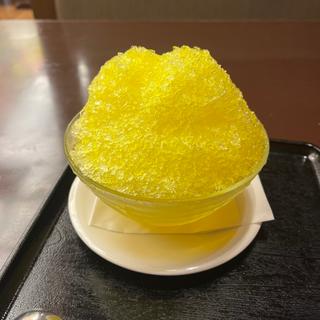 かき氷 レモン(笑福の湯)