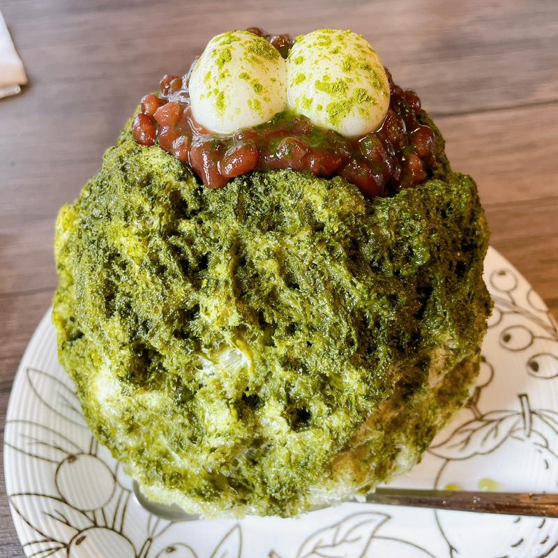 (台湾梅花 江の島)