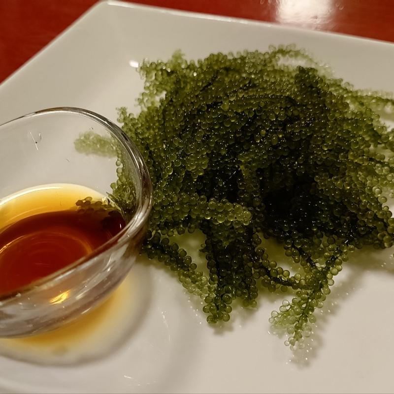 海ぶどう(海鮮酒家 中山)