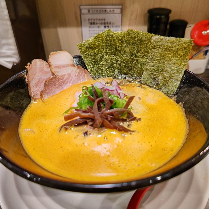 旨辛 濃厚泡豚骨醤油ラーメン(淡麗豚骨TSUCHINOTOMI)