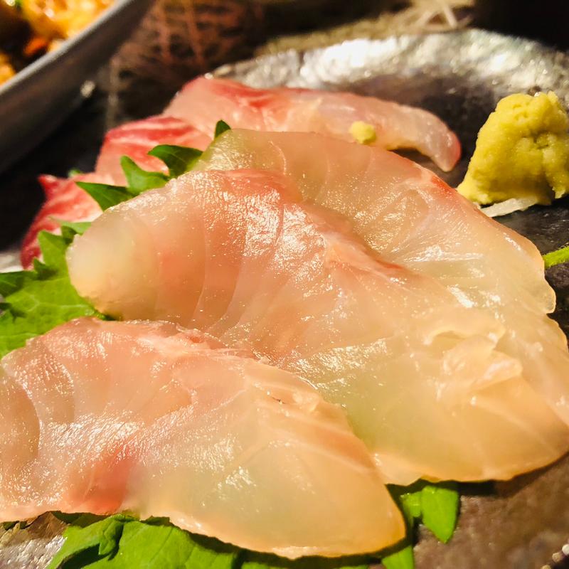 アオダイ（熟成8日目）(熟成魚専門 時季 鹿児島市)