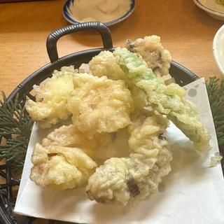 山菜天ぷら(すし健 白島本店)