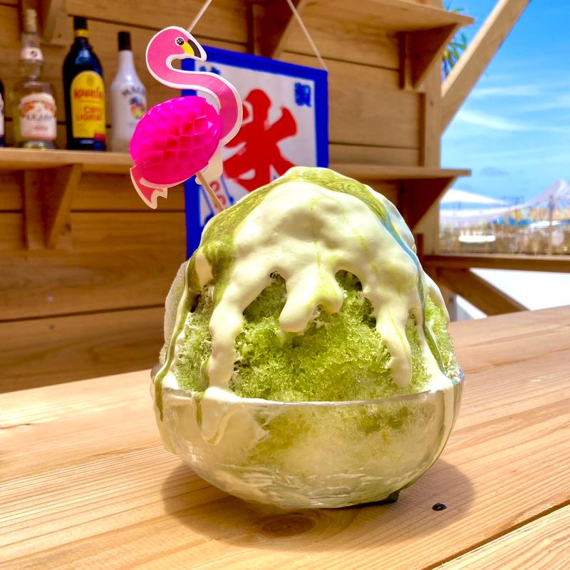 クリーム抹茶(Pink Flamingo)