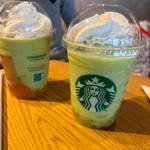 GOHOBI メロンフラペチーノ