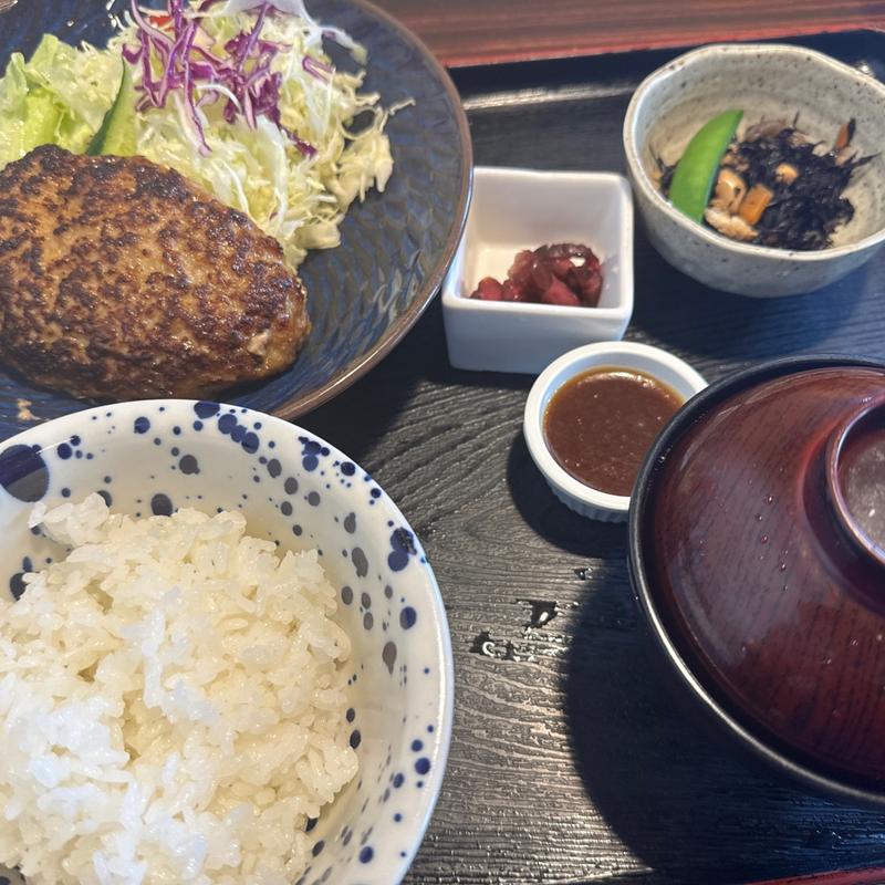 ハンバーグ定食(醍醐)