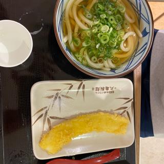 かけうどん(丸亀製麺 イオン桑名店 )