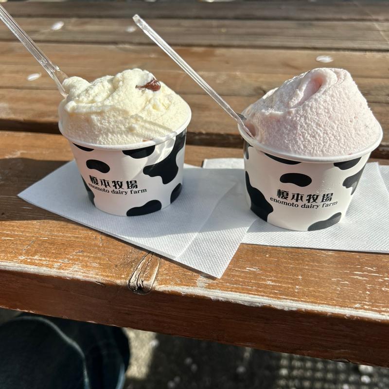 ジェラート(榎本牧場　フォルトゥーナ )