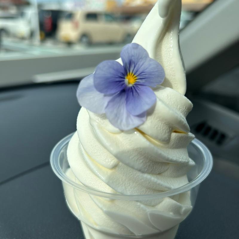 ズバソフト(マルト SC平尼子店)