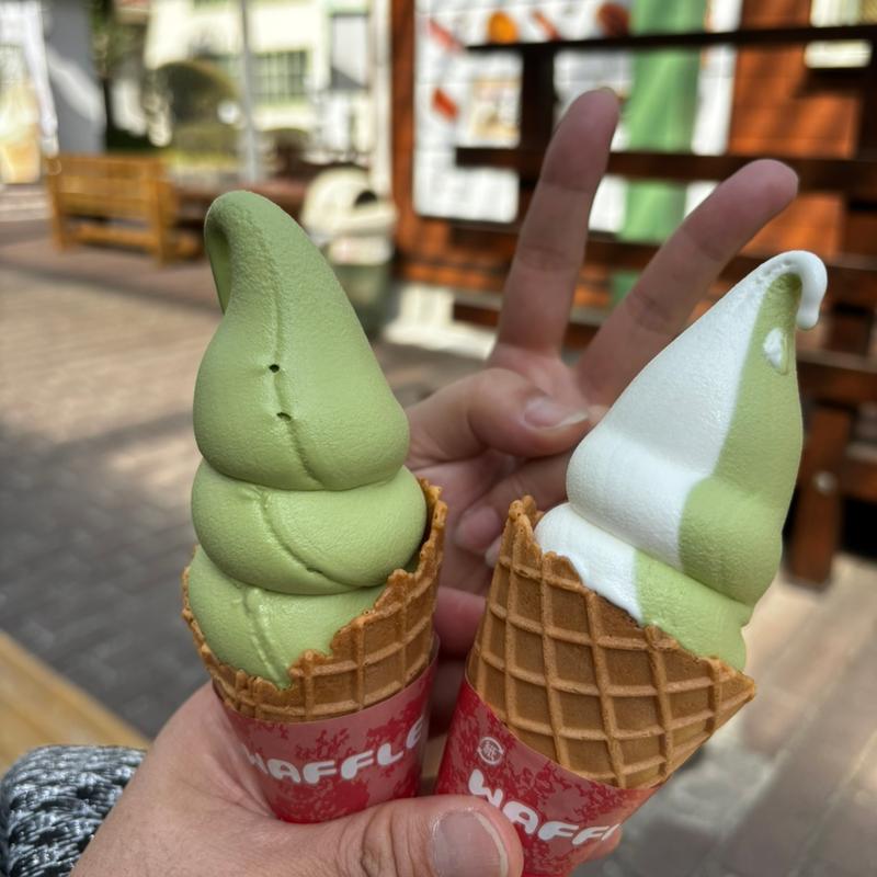 抹茶ソフトクリーム(道の駅　美濃白川ピアチェーレ )