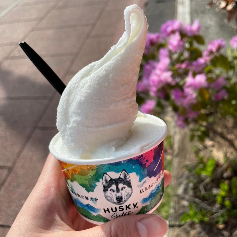 ジェラートシングル(ミルク)(新潟菜果 PremiumAGRI 実 MINORI)