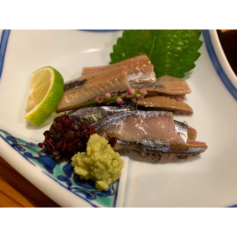 お刺身(ときをみ)