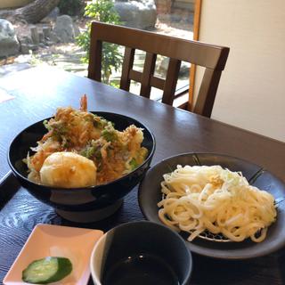 天丼と稲庭風うどんセット(すし・創作料理 一幸 本店)