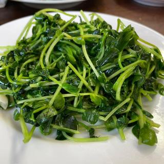 豆苗(新珍味)