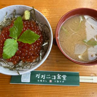 いくら丼(ガガニコ食堂)