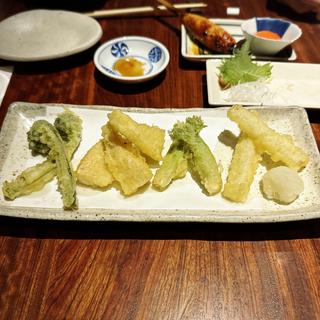 筍と山菜天ぷら(松玄 恵比寿)