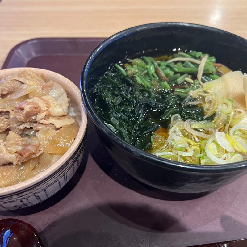 山菜そば、豚丼小盛りセット(峠の釜めし本舗 おぎのや 横川サービスエリア店（上り線）)