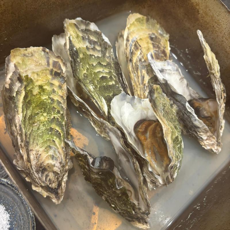 牡蠣のガンガン焼き(旬魚旬菜 極DINING 若旦那 長岡駅前店)