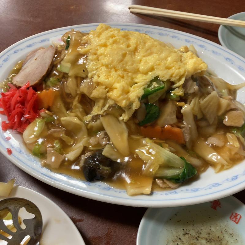 五目揚げ焼きそば(中国料理 豊園(ホウエン))