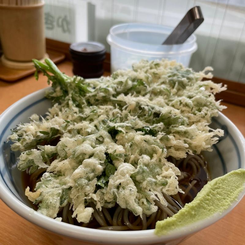 冷やし春菊天そば(加賀 （かが）)