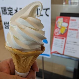 生乳ソフト