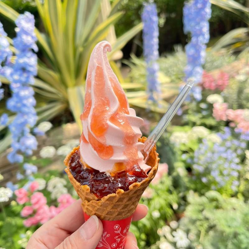 薔薇のソフトクリーム(浜名湖遊覧船 フラワーパーク港)