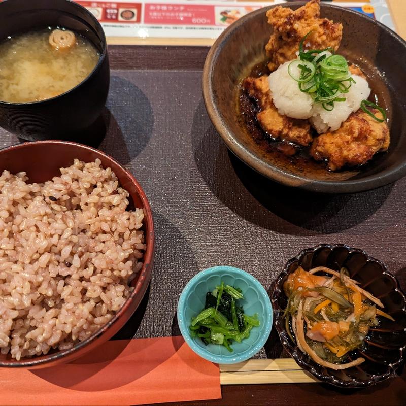 若鶏のみぞれかけ定食(DO-ZO 赤坂Bizタワー店)