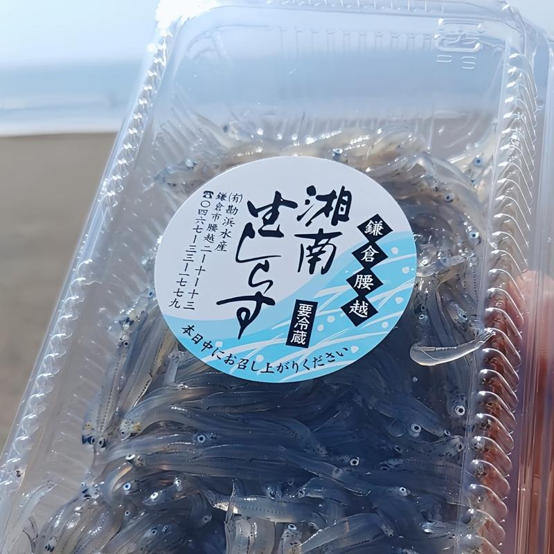 湘南生しらす(勘浜丸直売所)