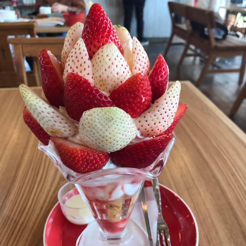 紅白パフェ(カフェ アンジェ・フレーゼ )