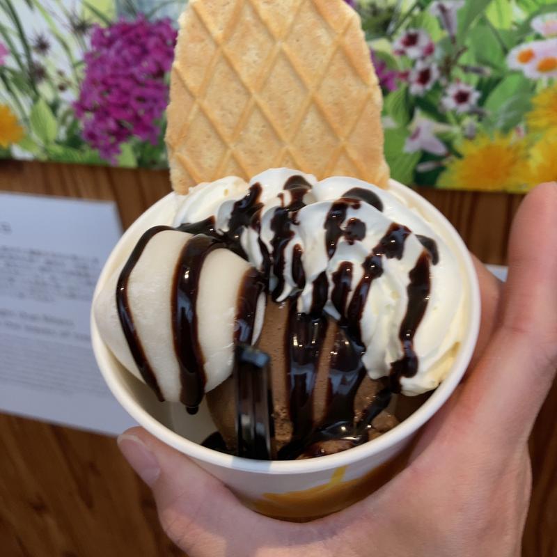 (道の駅 猪苗代)