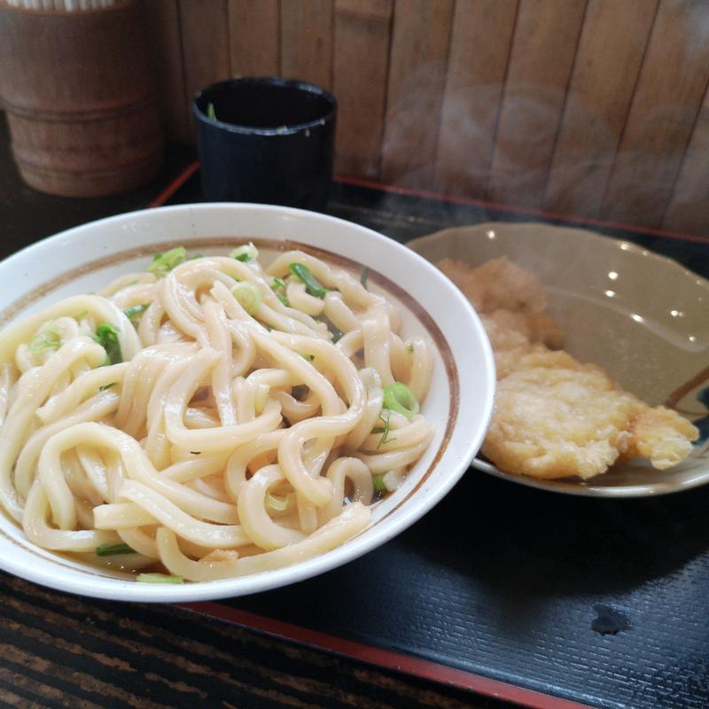かまぶっかけ　大(うつ海うどん )