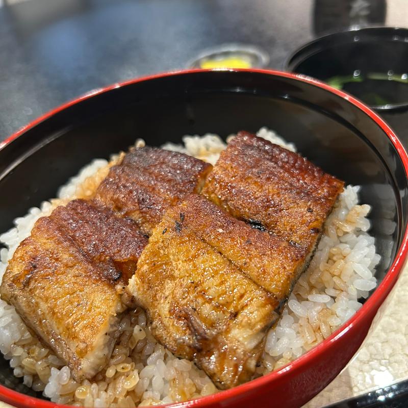うなぎ丼 並丼(つたや )