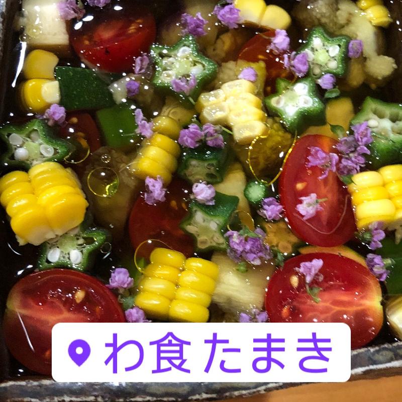 おまかせコース(わ食 たまき)