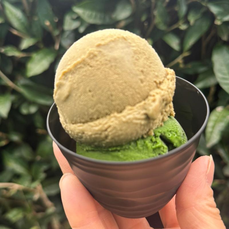 グリンピア限定濃厚ほうじ茶アイス(グリンピア牧之原)