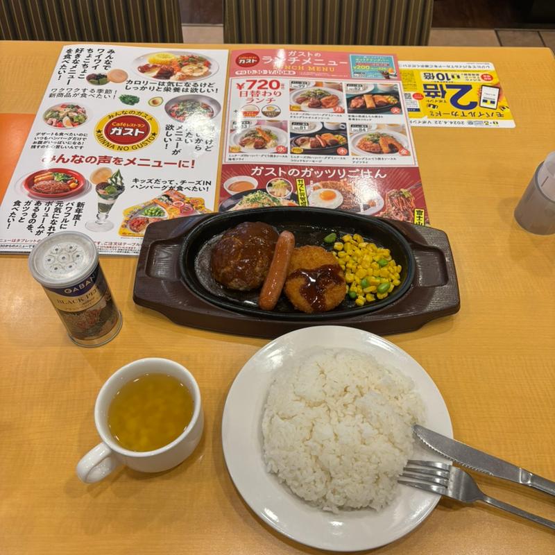 日替わりランチ(バーグ追加)水曜日(ガスト 八千代大和田店 )