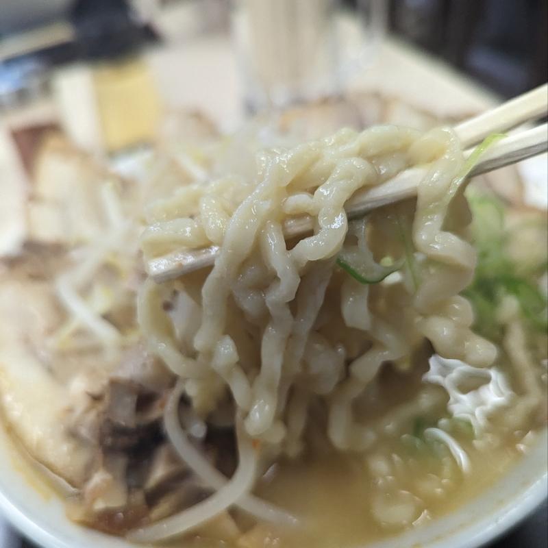 味噌ラーメン 大（肉増し）(麺屋酒田 )