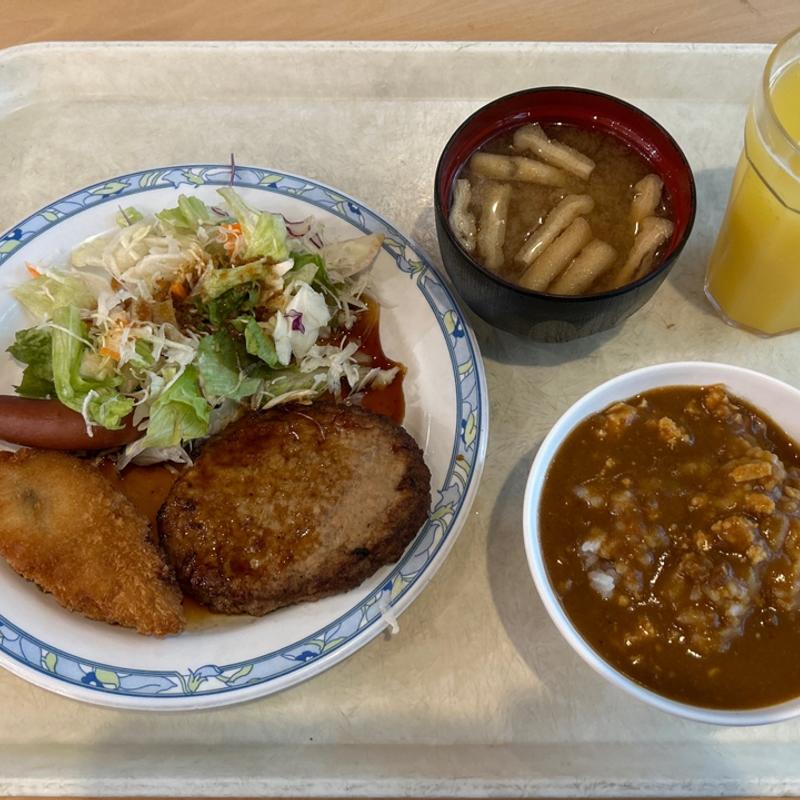 日替り定食(アゴラ ワイズエステック情報ビル店 （AGORA）)