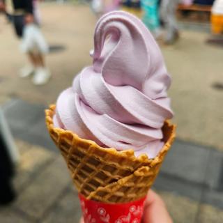 紫芋のソフトクリーム(おいもやさん興伸 浅草・新仲見世通り店)