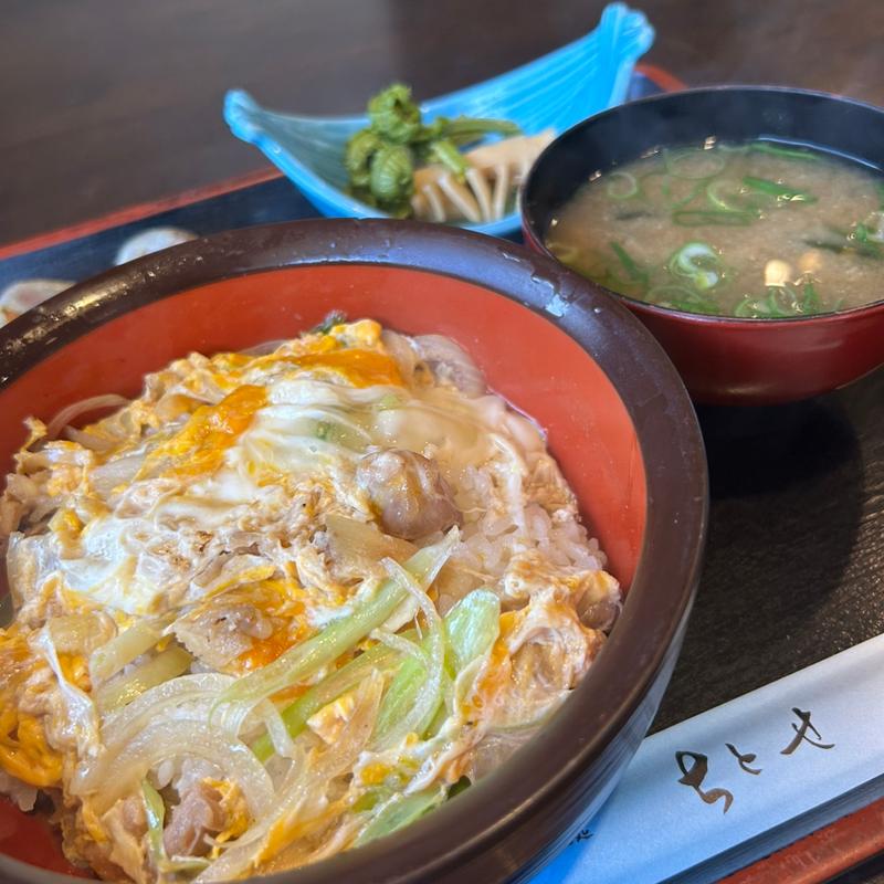 名古屋コウチン親子丼(ちとせ )