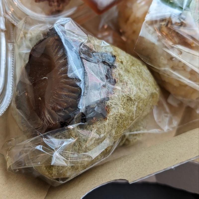 出汁パンチ×3(TARO TOKYO ONIGIRI 人形町ファクトリー店)